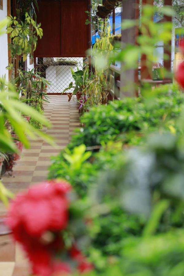 Periyar Woods Bed & Breakfast Thekkady Ngoại thất bức ảnh